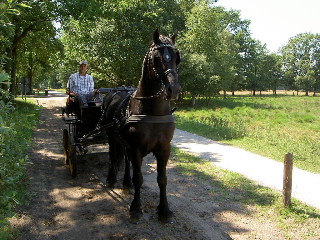 Ruinen Hoeve Den Anholtヴィラ エクステリア 写真