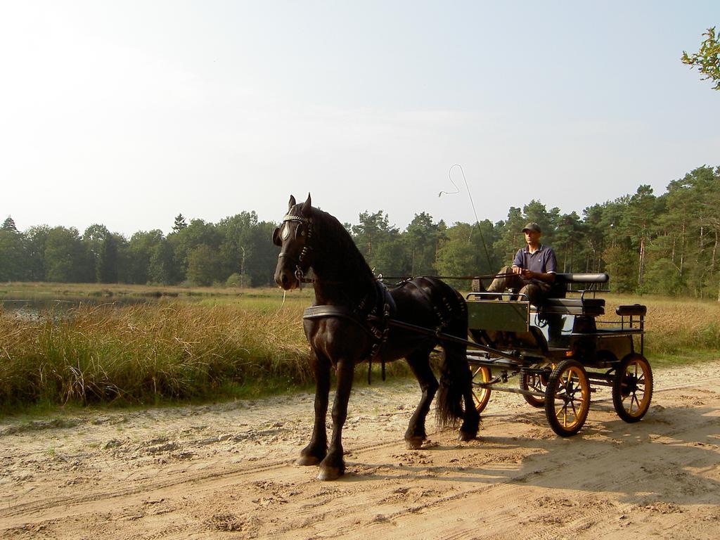 Ruinen Hoeve Den Anholtヴィラ エクステリア 写真
