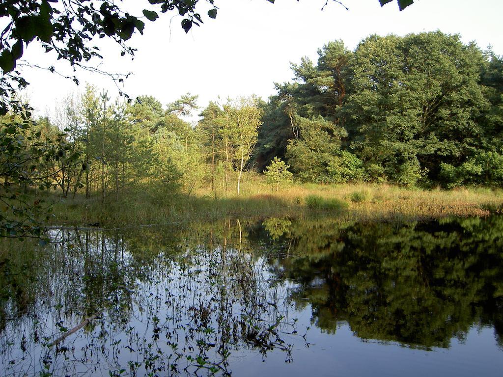 Ruinen Hoeve Den Anholtヴィラ エクステリア 写真