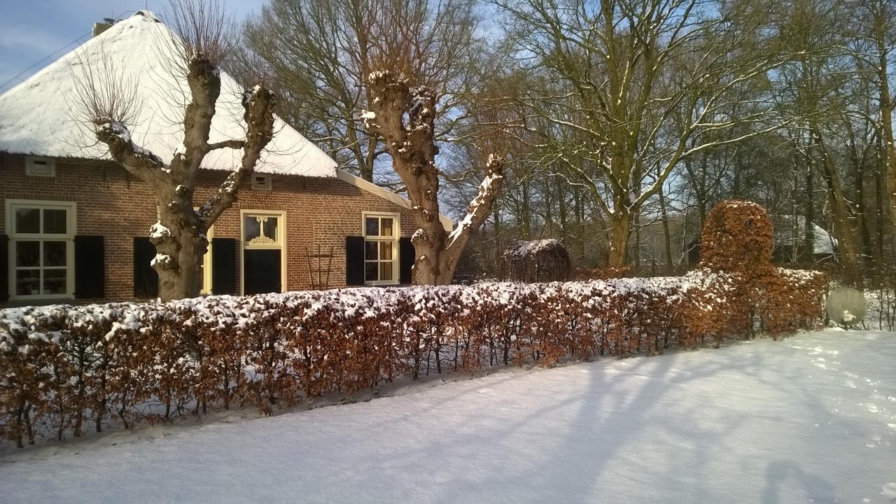 Ruinen Hoeve Den Anholtヴィラ エクステリア 写真