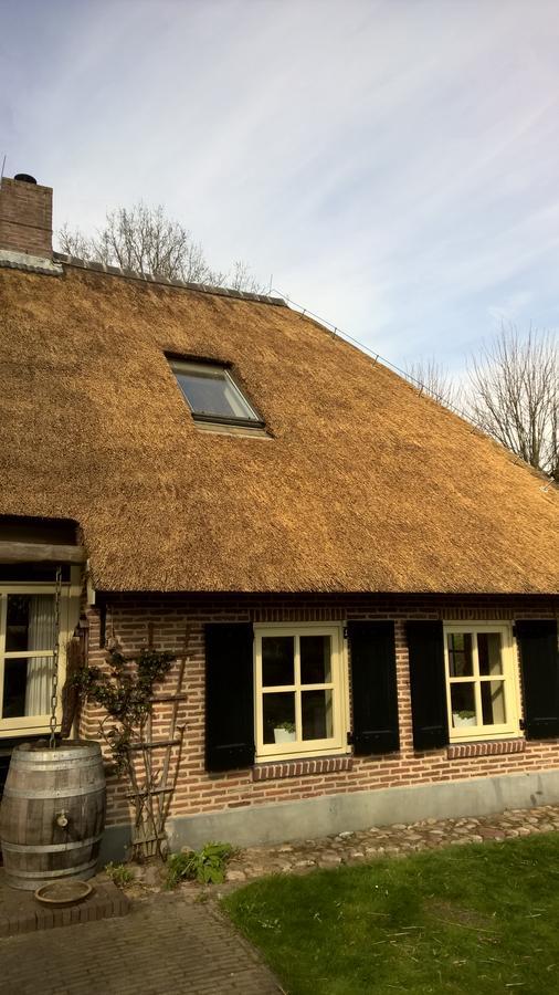 Ruinen Hoeve Den Anholtヴィラ エクステリア 写真