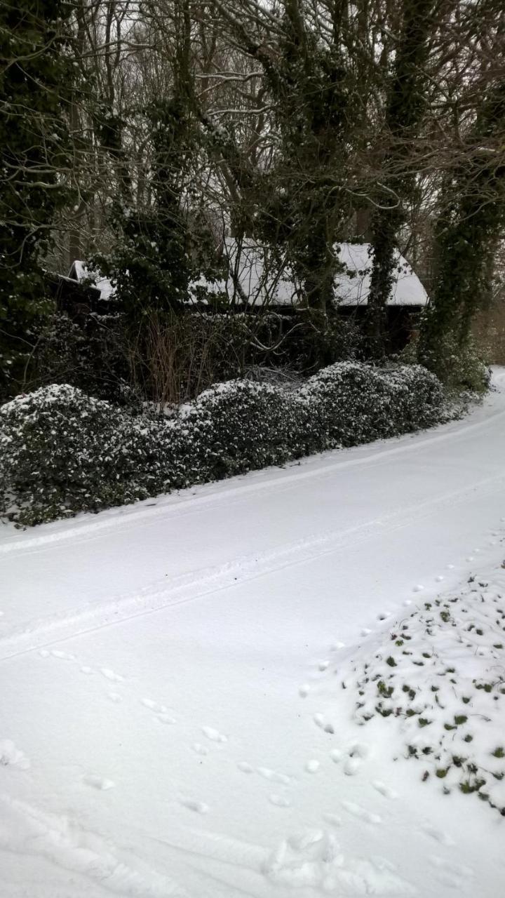 Ruinen Hoeve Den Anholtヴィラ エクステリア 写真