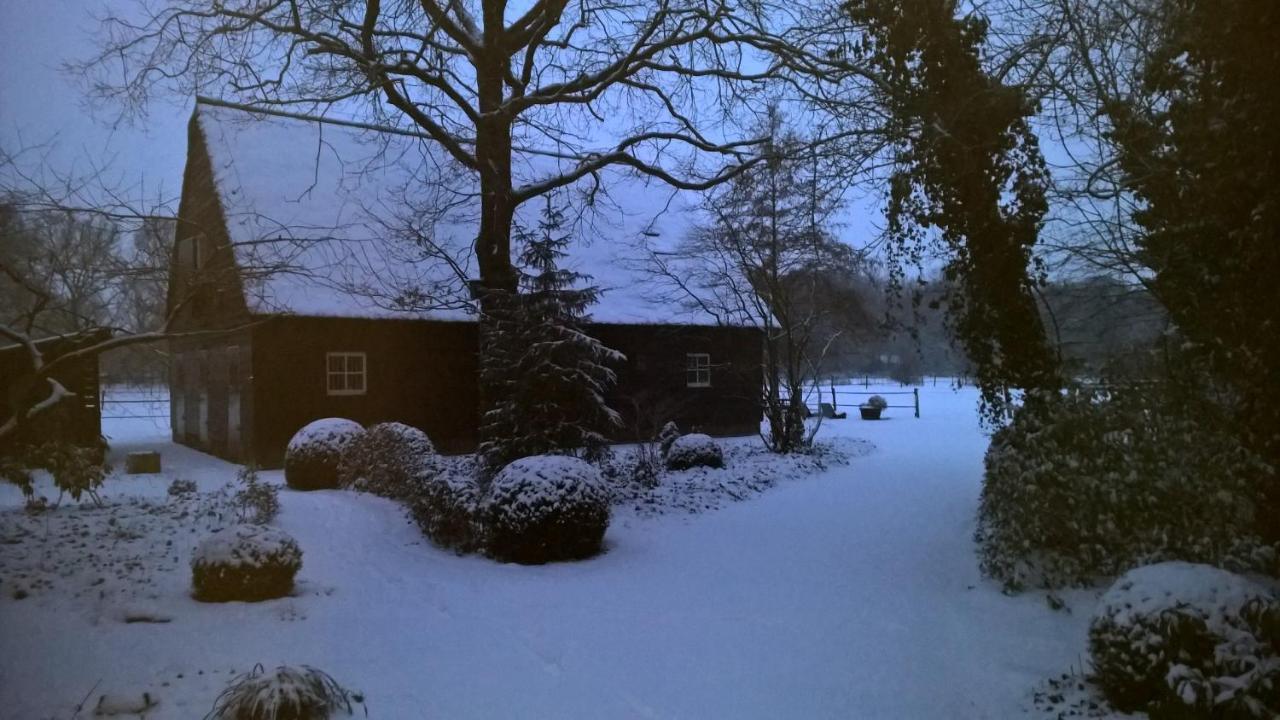 Ruinen Hoeve Den Anholtヴィラ エクステリア 写真