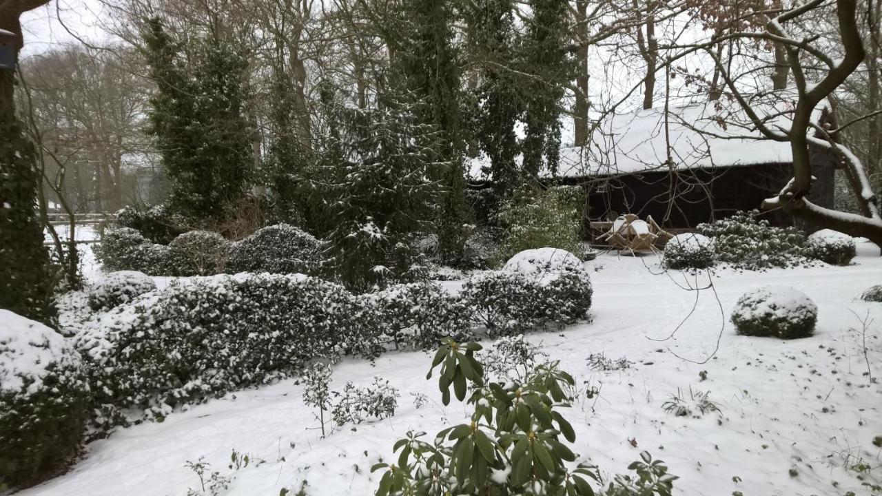 Ruinen Hoeve Den Anholtヴィラ エクステリア 写真