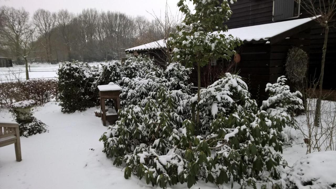 Ruinen Hoeve Den Anholtヴィラ エクステリア 写真
