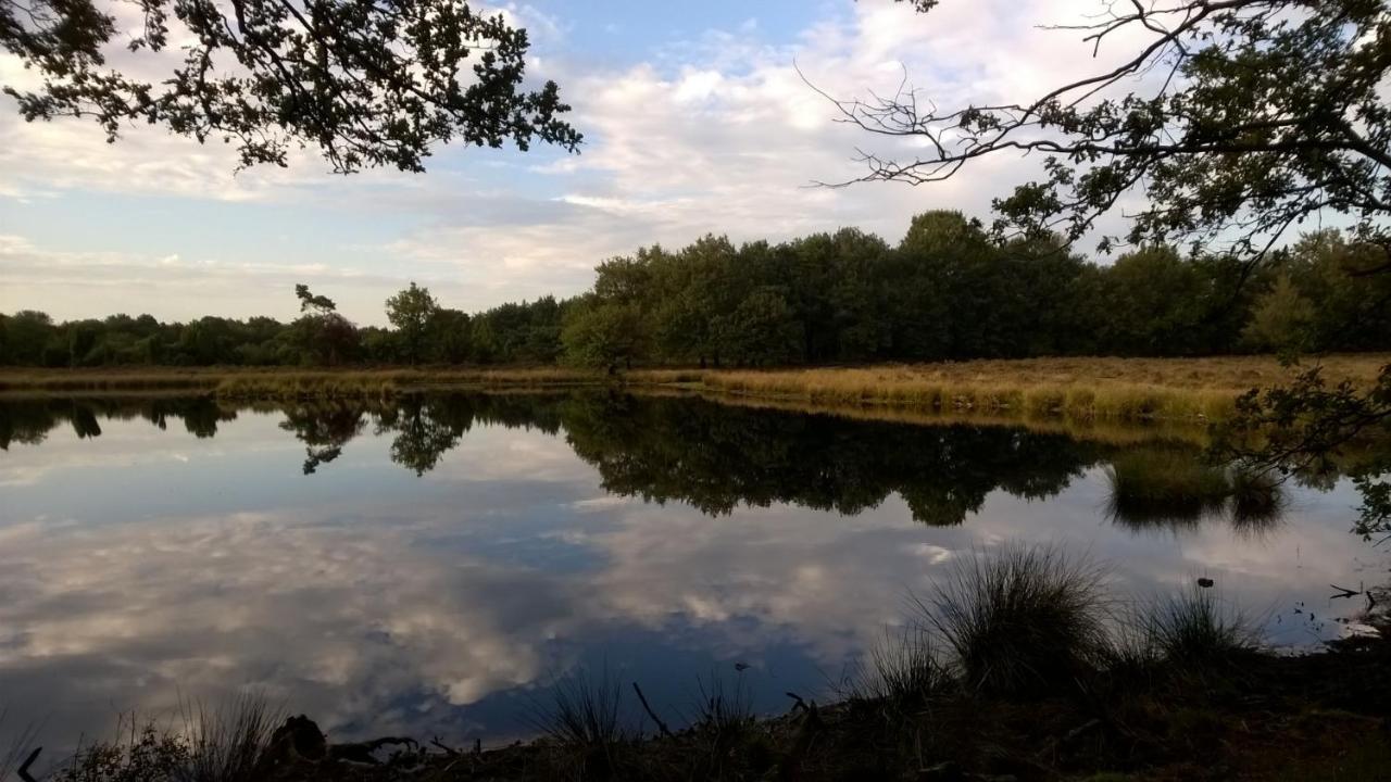 Ruinen Hoeve Den Anholtヴィラ エクステリア 写真
