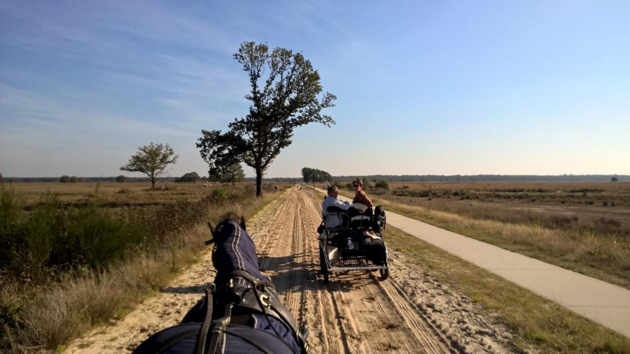 Ruinen Hoeve Den Anholtヴィラ エクステリア 写真