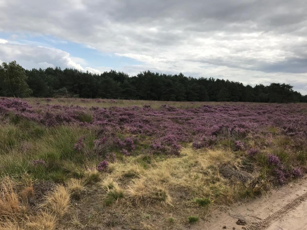 Ruinen Hoeve Den Anholtヴィラ エクステリア 写真