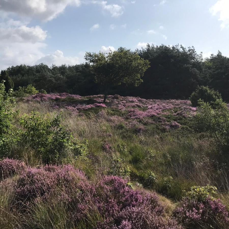 Ruinen Hoeve Den Anholtヴィラ エクステリア 写真