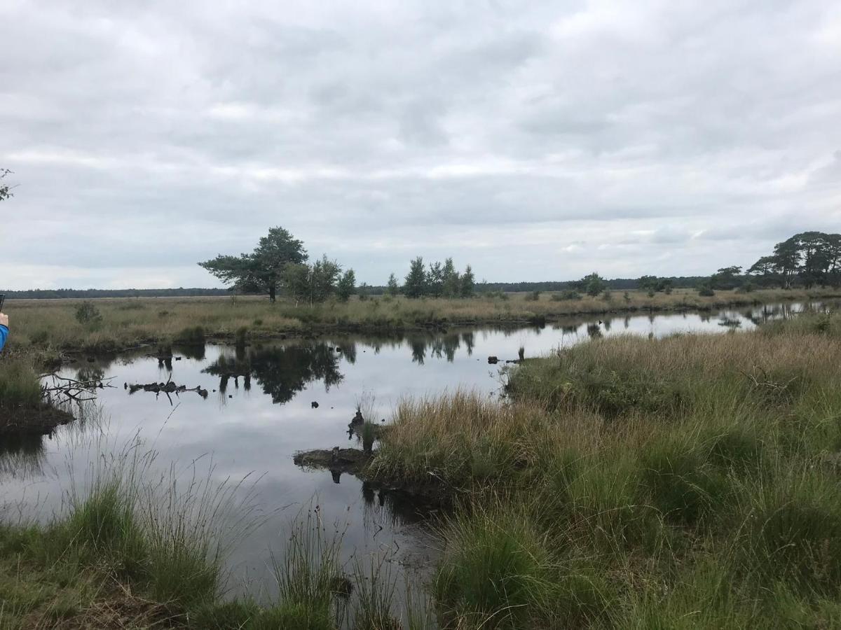 Ruinen Hoeve Den Anholtヴィラ エクステリア 写真