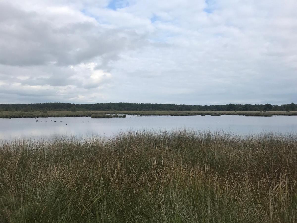 Ruinen Hoeve Den Anholtヴィラ エクステリア 写真